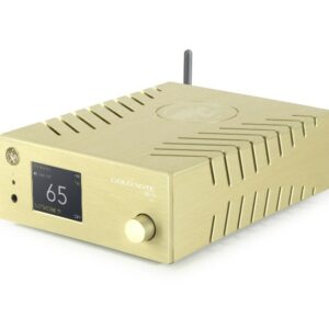 GOLD NOTE DS-10 EVO GOLD NEW