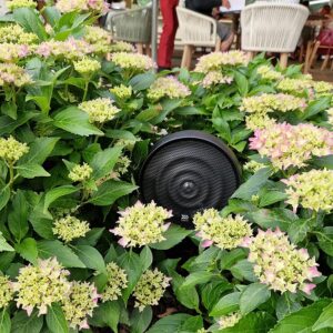 MOREL BREEZ x ESTERNI CX600 NEW -50%